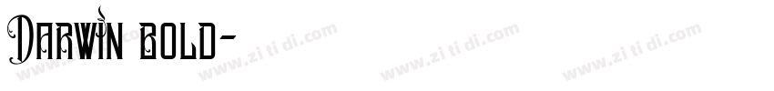 Darwin Bold字体转换